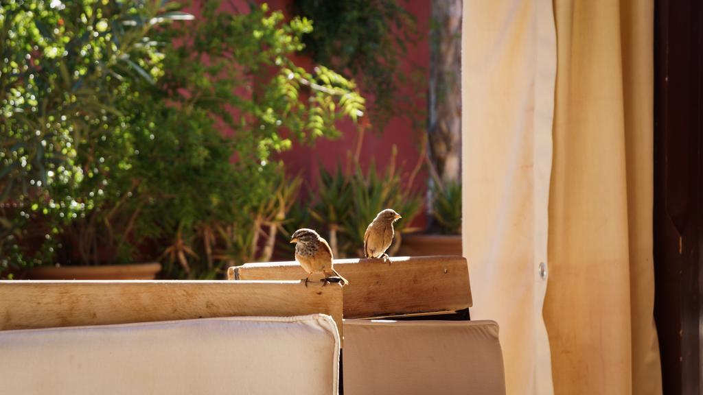 Riad Honey Марракеш Экстерьер фото